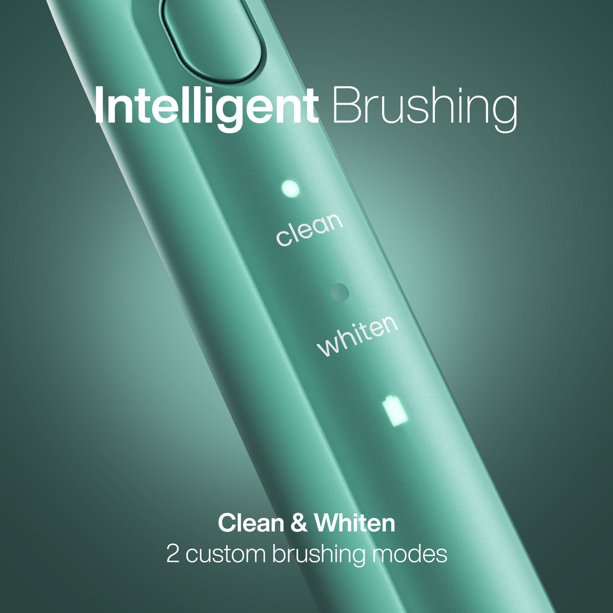 Aquasonic Icon Rechargeable Power Toothbrush