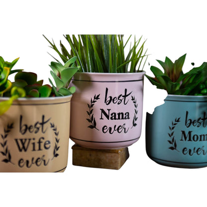 Best Ever Camp Planters 5", 3 Asst
