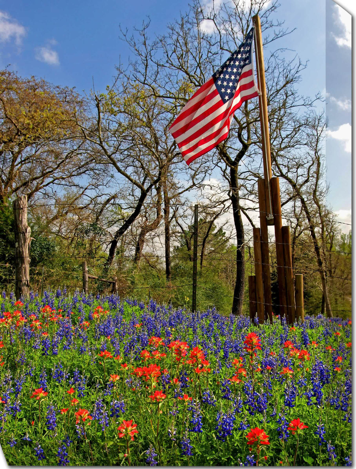 Country Pride All Weather Outdoor Art