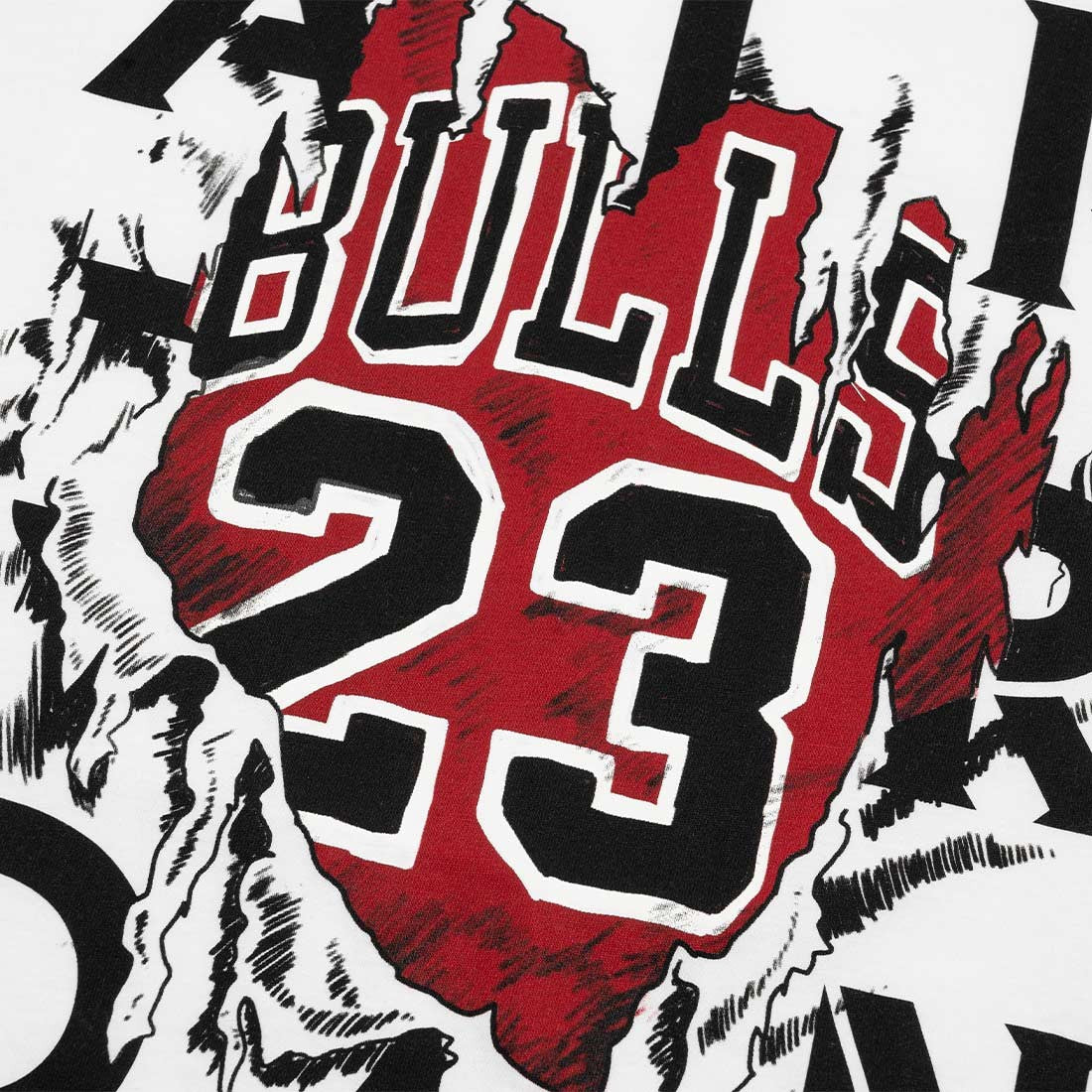 Air Jordan Men's Aj5 '85 Graphic Chicago Bulls T-Shirt Tee T-Shirts