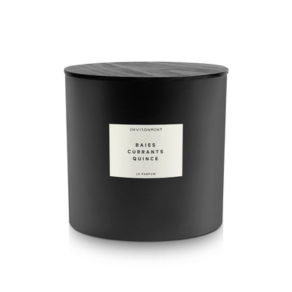 ENVIRONMENT 55oz Candle SeaWater Ozone OakMoss