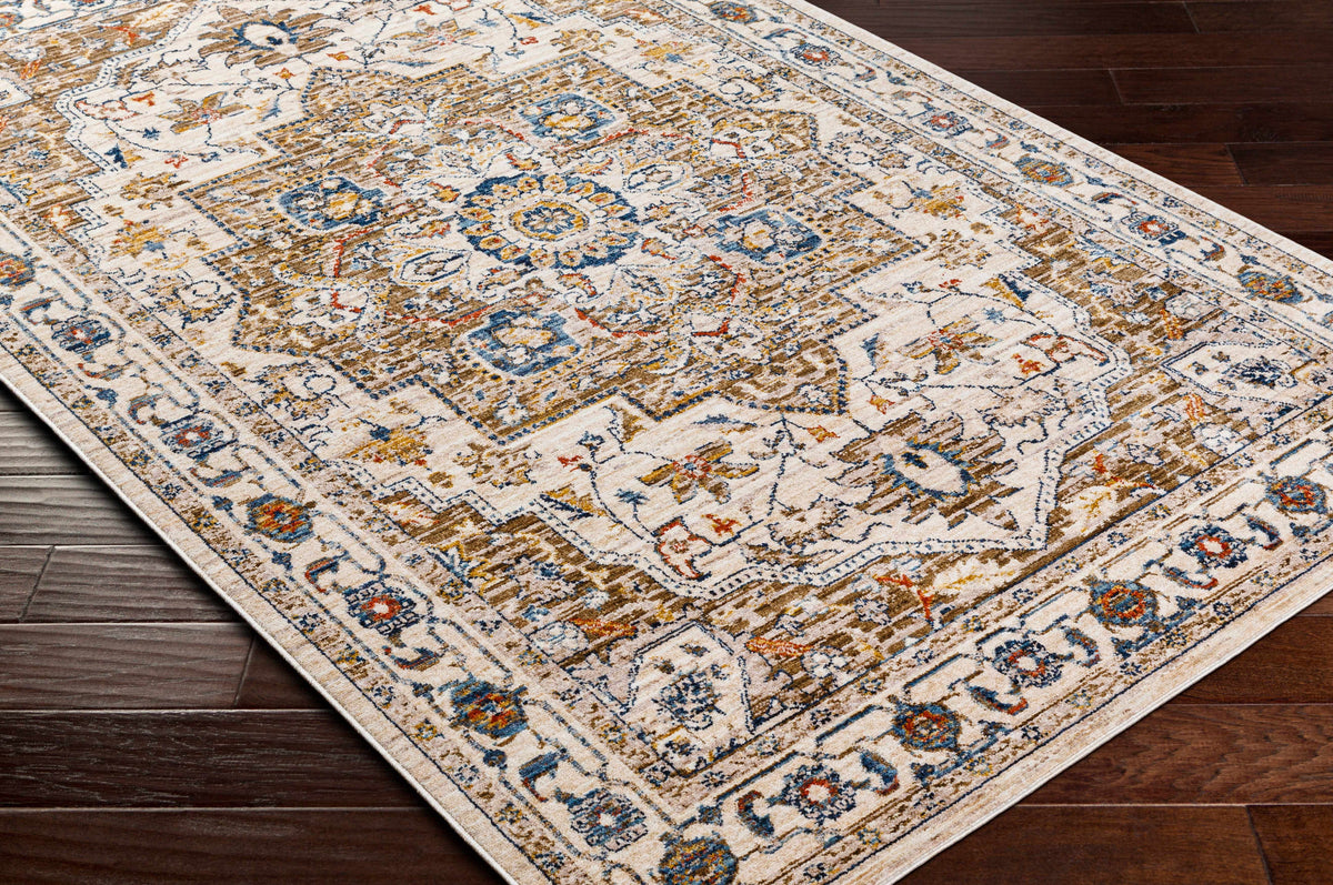 Anas Traditional Style Rug - Clearance