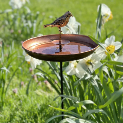 Bird Bath and Butterfly Oasis Pollinator Garden Fountain