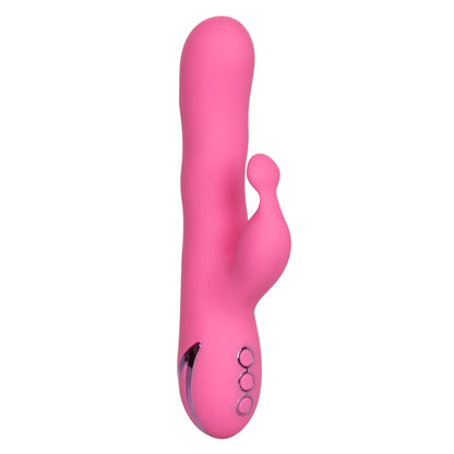 CalExotics California Dreaming Santa Barbara Surfer