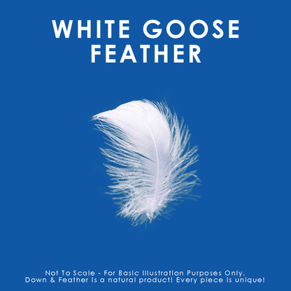 Canadian Down & Feather Company Quilted White Goose Feather Pillow, Soft Support 2 Pack