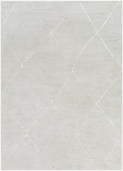 Aldis Grey Plush Textured Washable Rug - Clearance