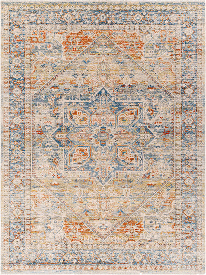 Elita Area Rug - Clearance