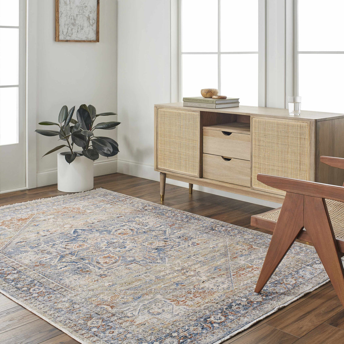 Elita Area Rug - Clearance