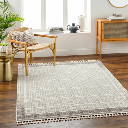 Ajda Area Rug - Clearance