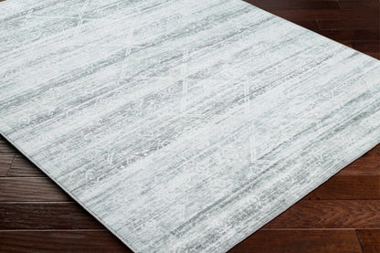 Blake Light Gray Washable Area Rug