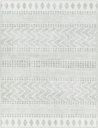 Danon Washable Area Rug