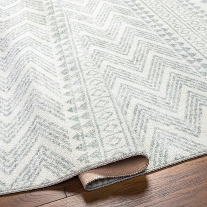 Danon Washable Area Rug