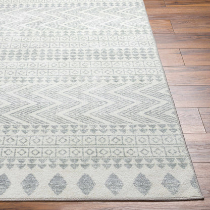 Danon Washable Area Rug