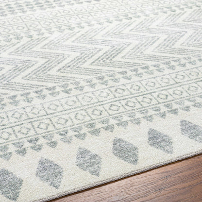 Danon Washable Area Rug