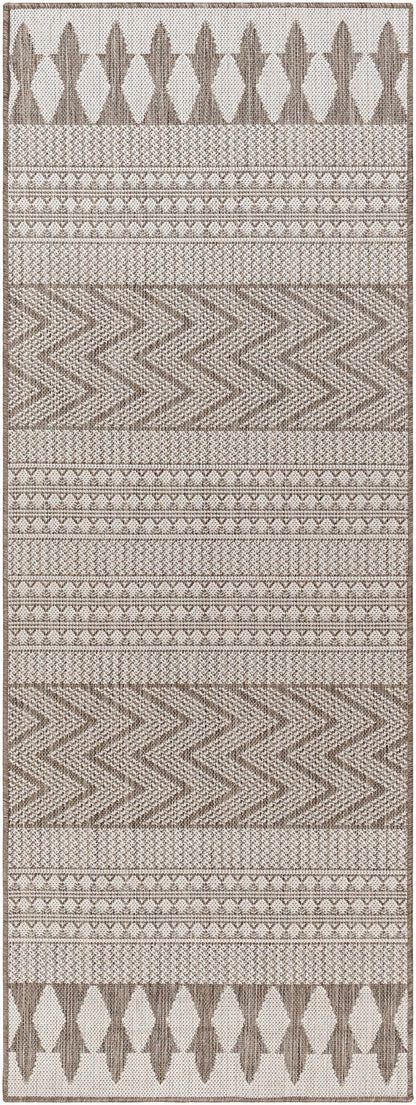 Asif Brown Outdoor Area Rug