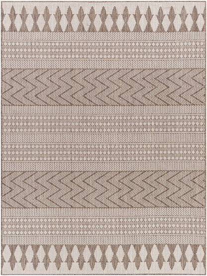 Asif Brown Outdoor Area Rug