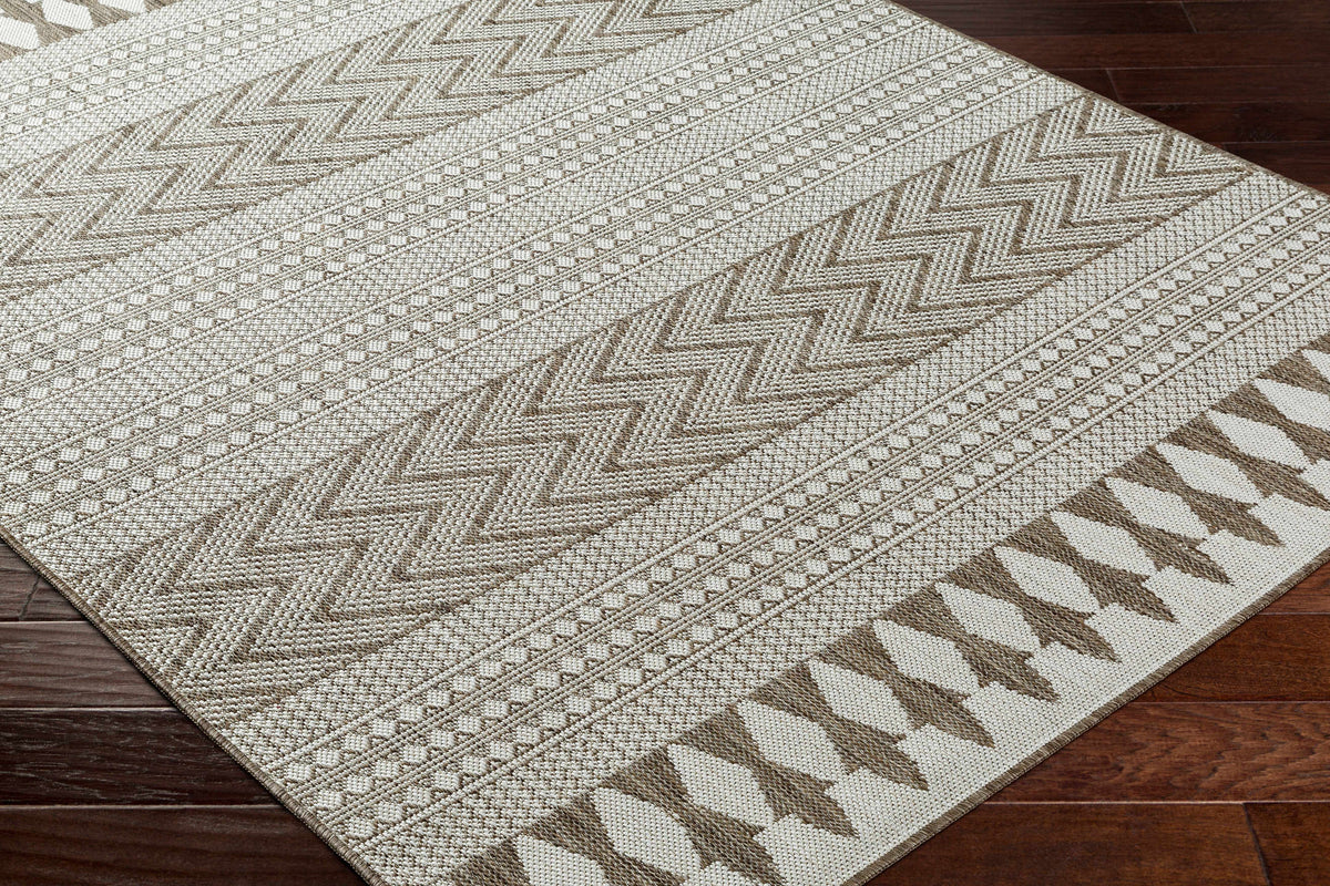 Asif Brown Outdoor Area Rug