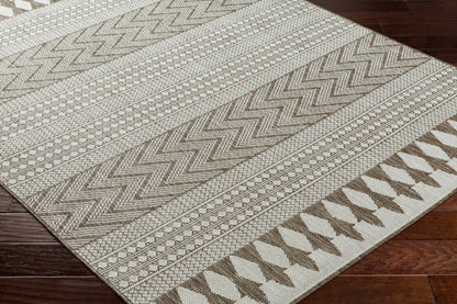 Asif Brown Outdoor Area Rug
