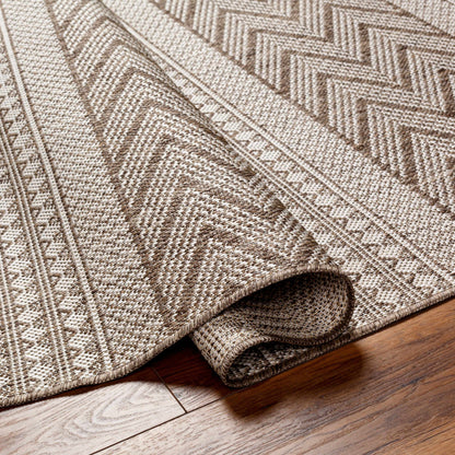 Asif Brown Outdoor Area Rug