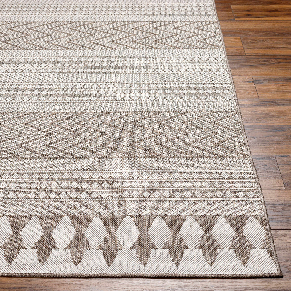 Asif Brown Outdoor Area Rug