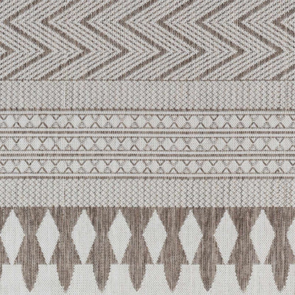 Asif Brown Outdoor Area Rug