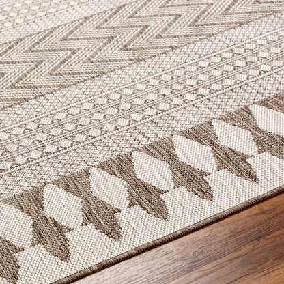 Asif Brown Outdoor Area Rug