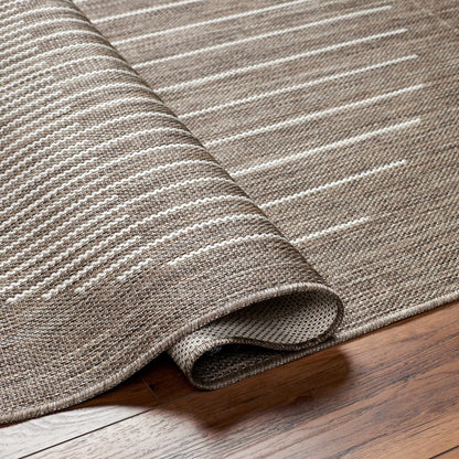 Aviya Brown Outdoor Area Rug - Clearance