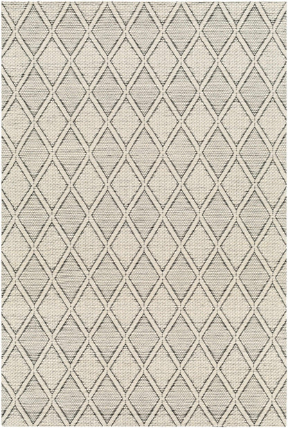 Aeron Area Rug - Clearance