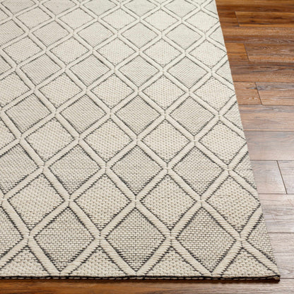 Aeron Area Rug - Clearance