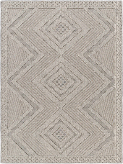 Aimee Natural Gray Outdoor Area Rug - Clearance