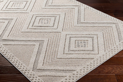 Aimee Natural Gray Outdoor Area Rug - Clearance