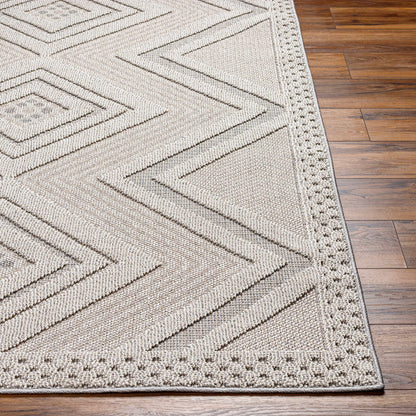 Aimee Natural Gray Outdoor Area Rug - Clearance