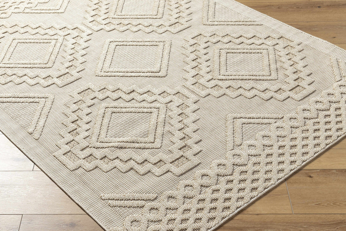 Arwid Bone Outdoor Area Rug - Clearance