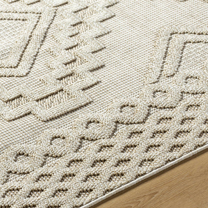 Arwid Bone Outdoor Area Rug - Clearance