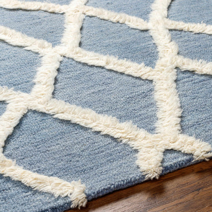 Adica Blue Wool Area Rug - Clearance