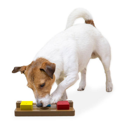 Brainiac Flip Flop Fido Treat Dispensing Pet Toy