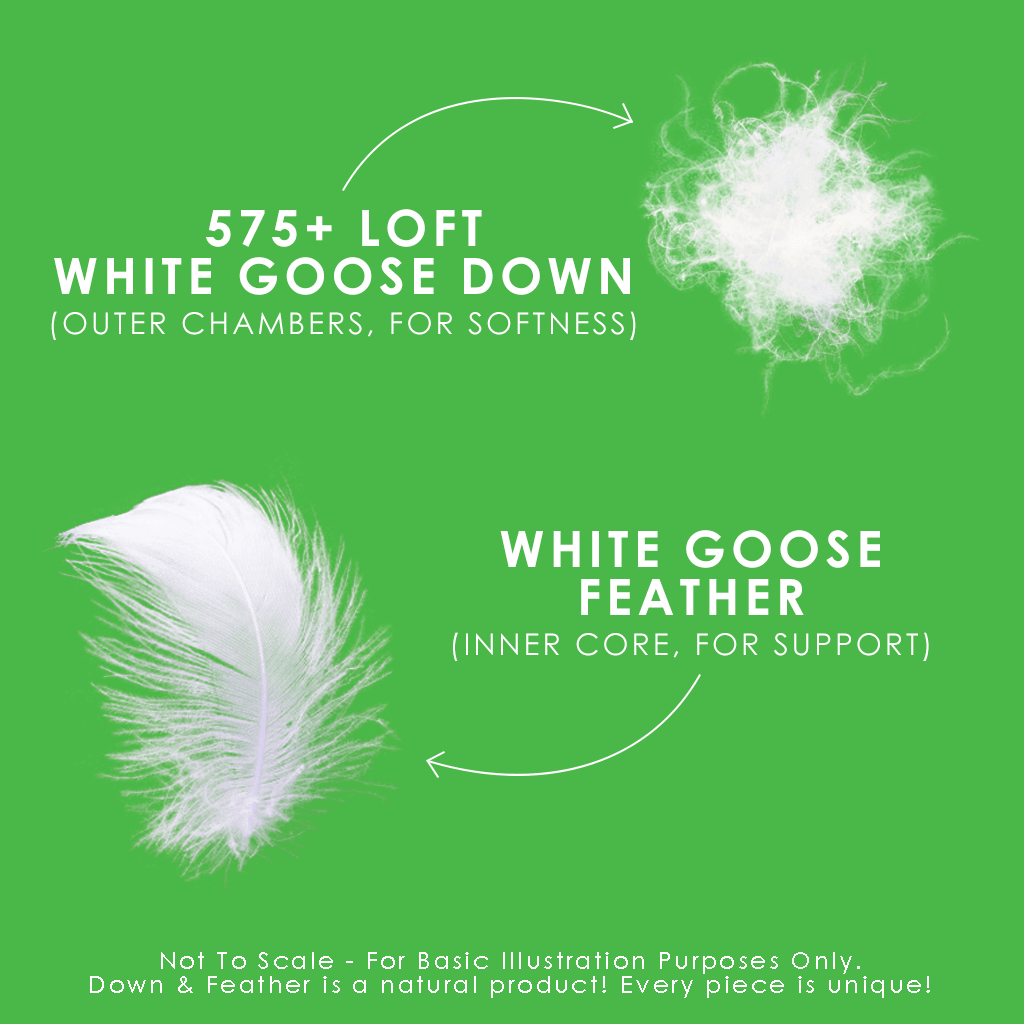 Canadian Down & Feather Company Down Perfect™ Pillow, Medium Support 2 Pack