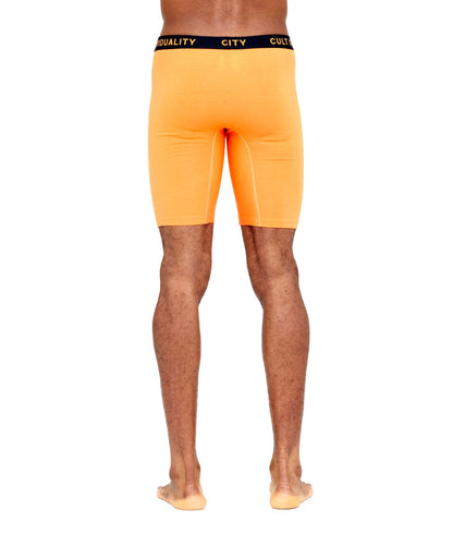 Cult of Individuality Briefs 2 Pack