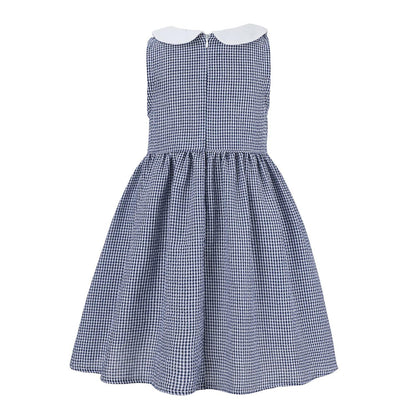 Blue Gingham Peter Pan Collar Sleeveless A-Line Dress