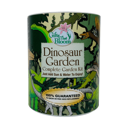 Gifts That Bloom Dinosaur Garden Grocan