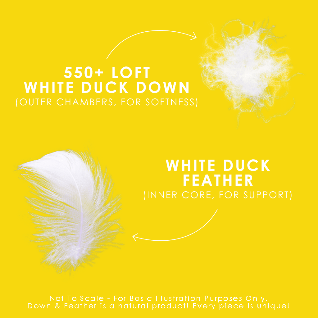 Canadian Down & Feather Company Down Perfect™ White Feather & Down Pillow, Medium Support 2 Pack