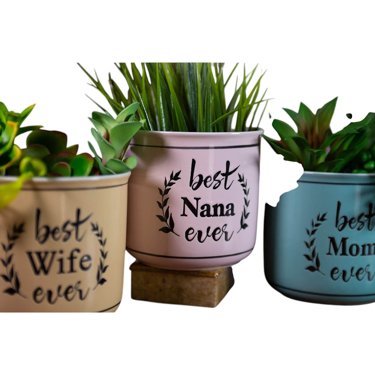 Best Ever Camp Planters 5", 3 Asst