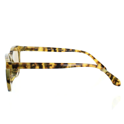 Sunglasses +1.50 x 2 Reading Tortoise Shell & Olive Have A Look