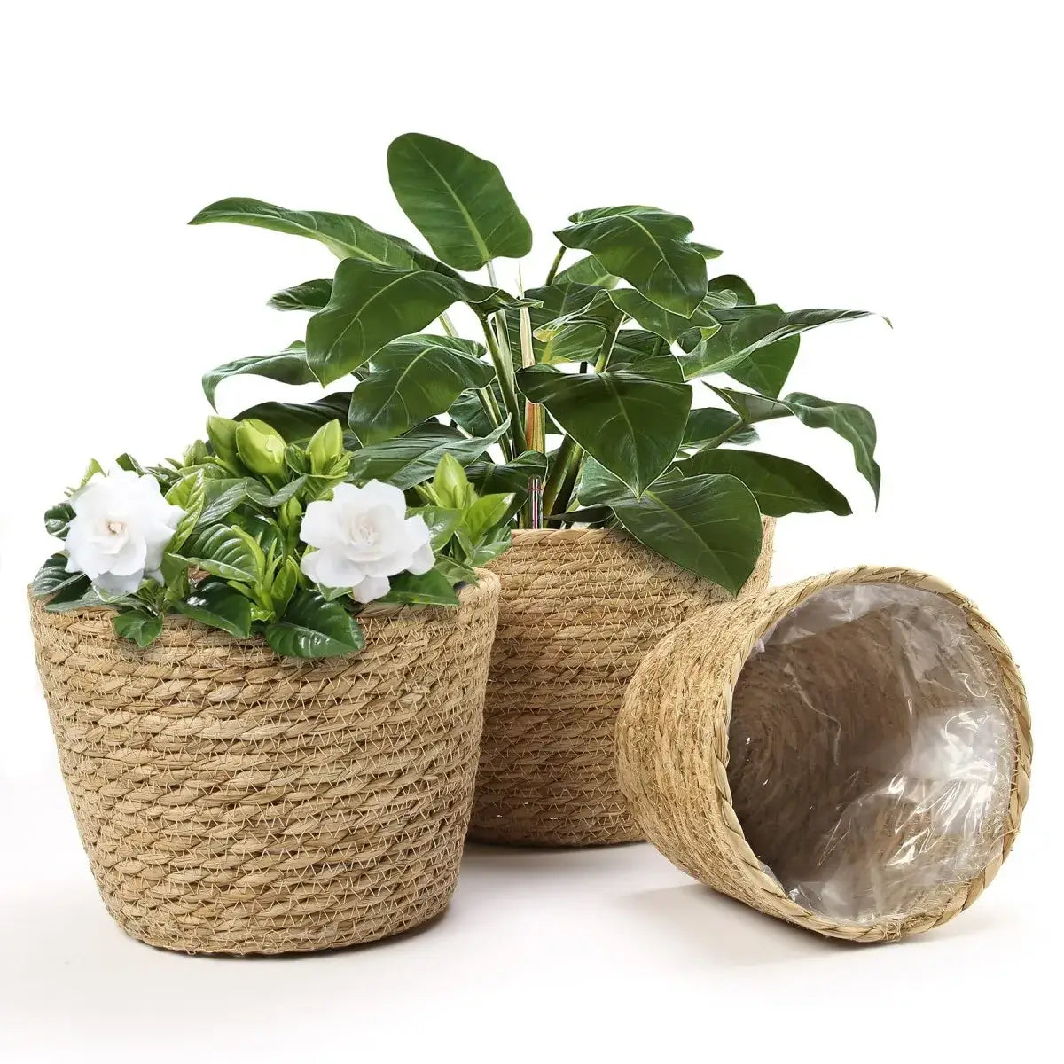 Decorative Woven Planter with Plastic Liner
