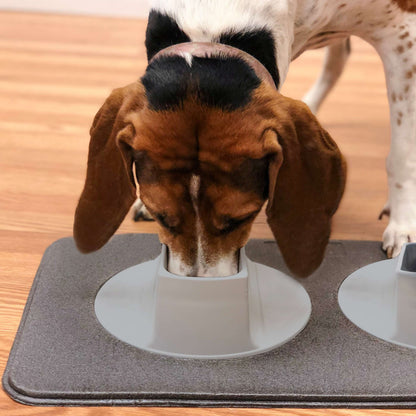 Ear-Clear Pet Feeding Station